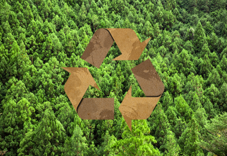 使い捨てケータリング用品調達のための FSC、EUDR、PEFC ガイド